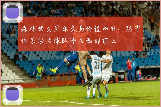 森林狼戈贝尔交易价值回升,防守体系助力球队冲击西部前三